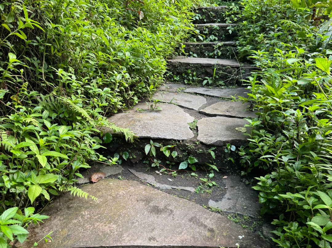 Kurú Natural Springs-福德圣卡洛斯必去景点