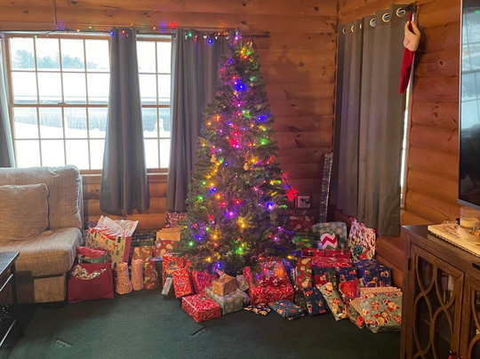 Saraplacid Inn & Suites主图