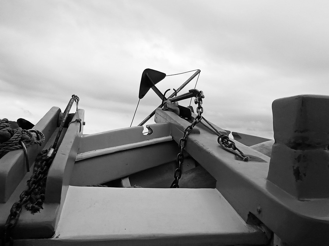 Narwhal-伊利亚贝拉必去景点