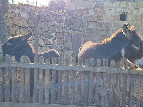 Ta' Betta Wine Estates-Siggiewi必去景点