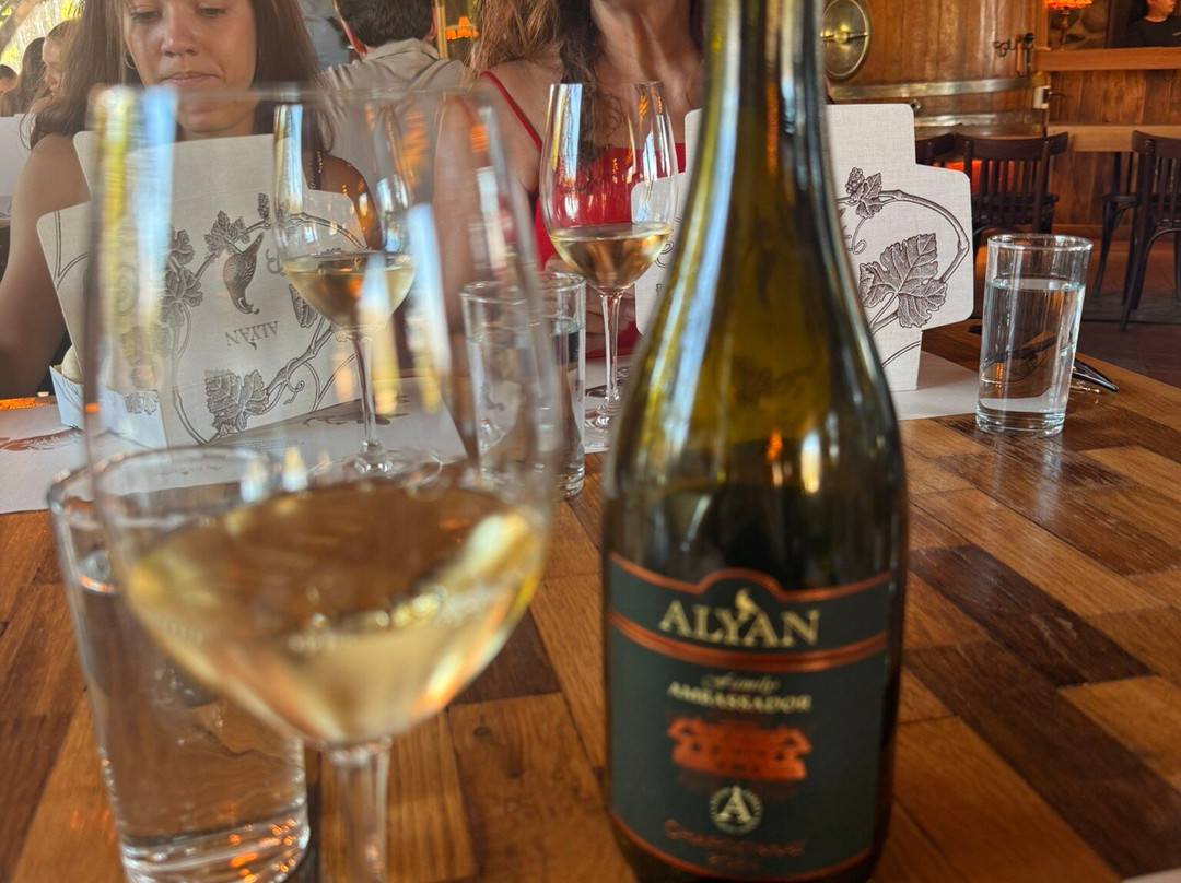 Alyan Family Wines-Pirque必去景点