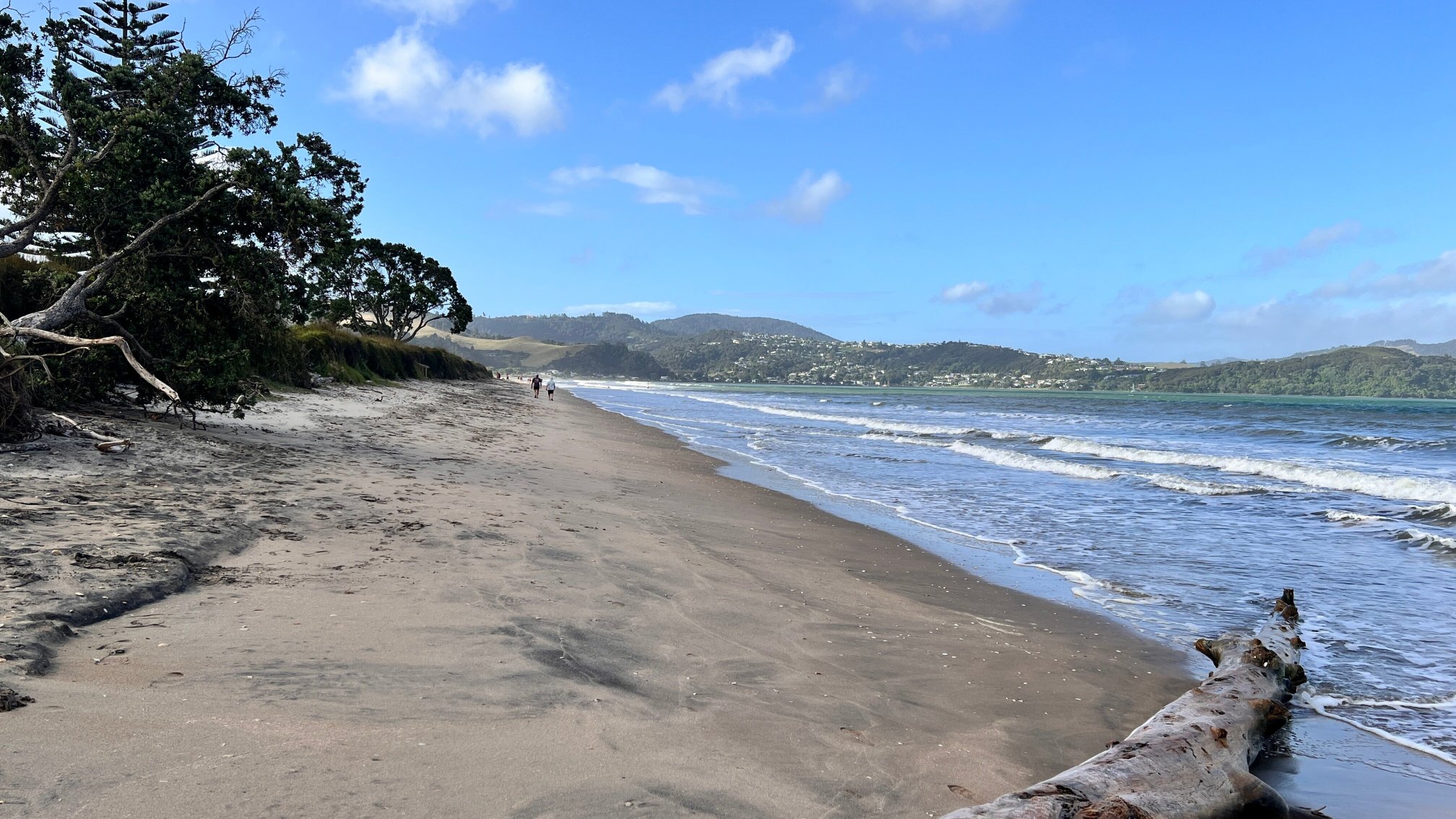 Blue Marlin Apartments-泳池