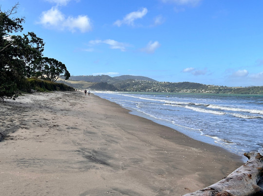 Blue Marlin Apartments主图