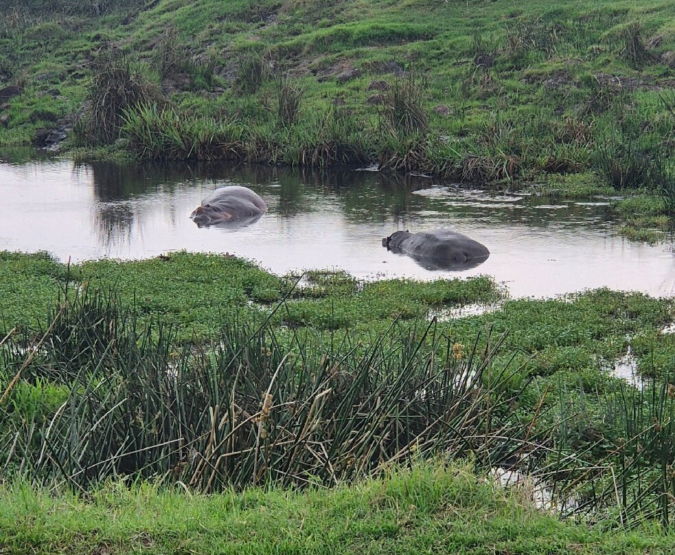 Fortes Africa-姆万扎必去景点