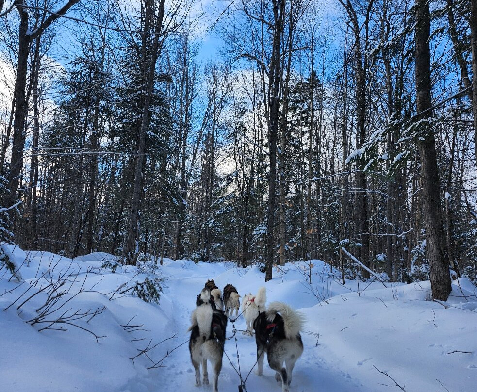 Secrets Nordiques Day Tours-博普雷必去景点