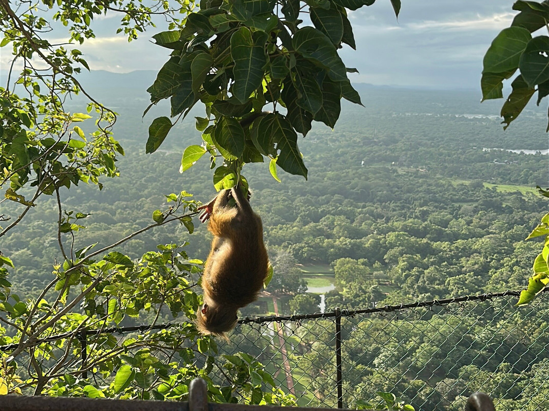 Around Pearl Tours-唐卡拉必去景点