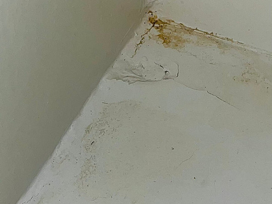 Aparthotel Los Dragos del Sur主图