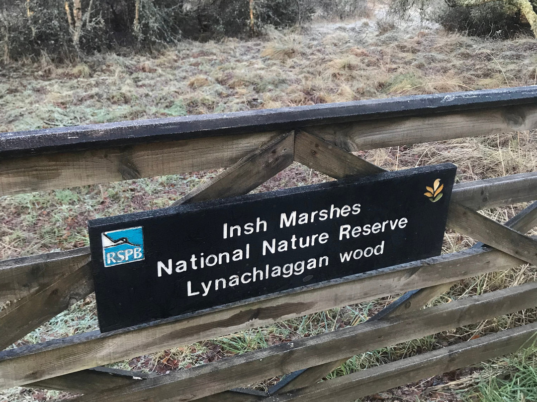 RSPB - Insh Marshes-Kingussie必去景点