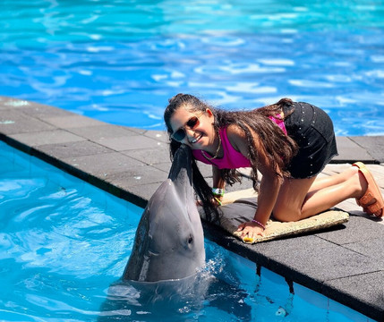 Bali Star Tour - Day Tours-登巴萨必去景点