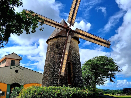 Village de Menard主图