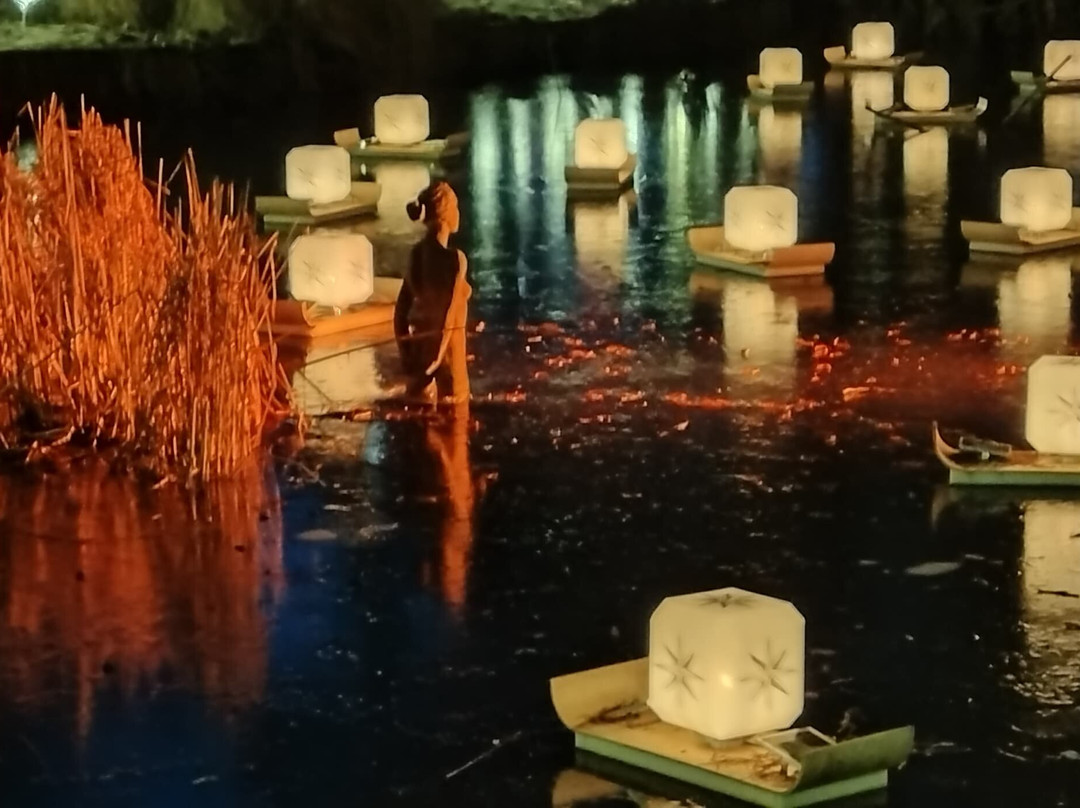 Light Up Trails-罗姆西必去景点