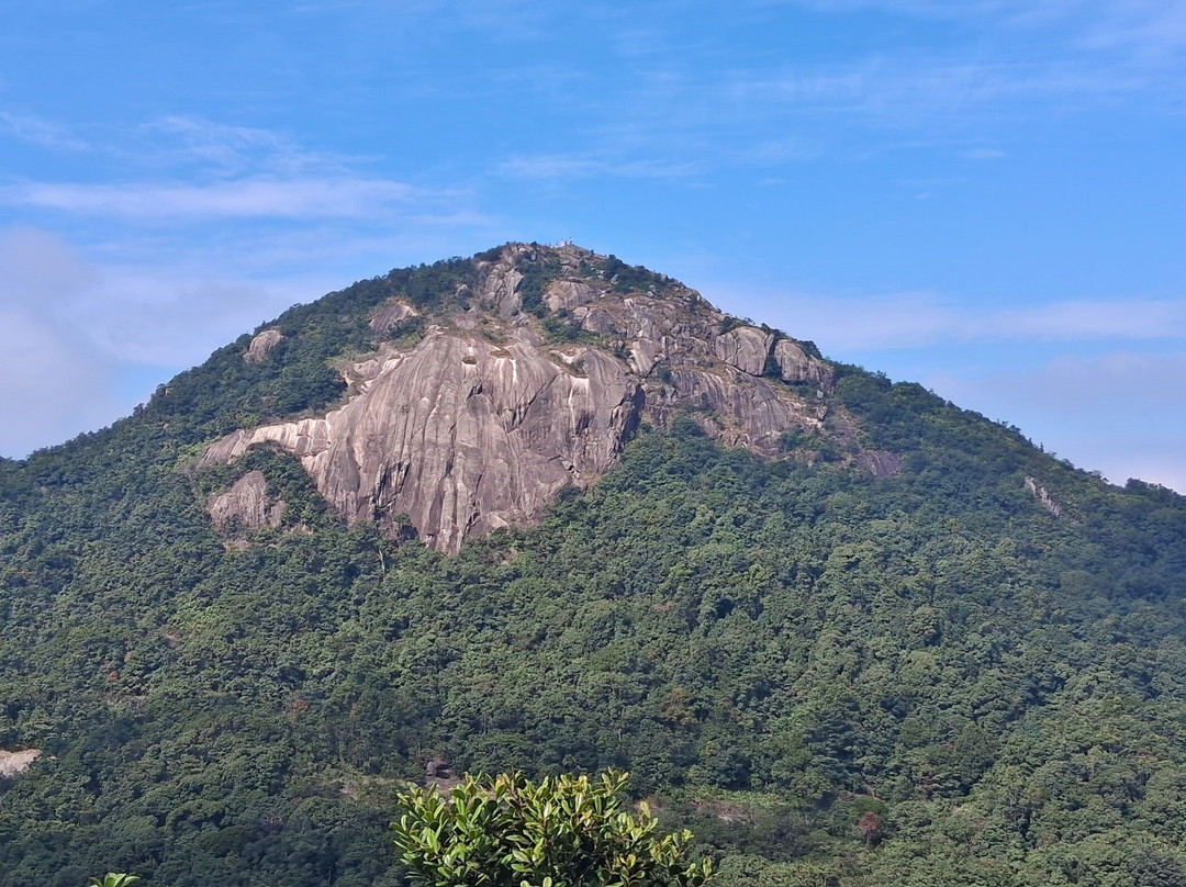 流溪河森林公园-从化市必去景点