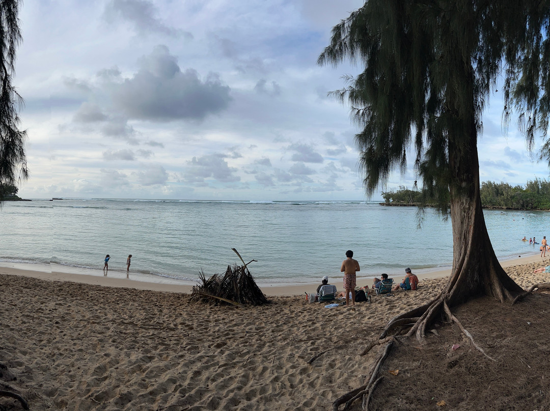 Turtle Bay-卡胡库必去景点