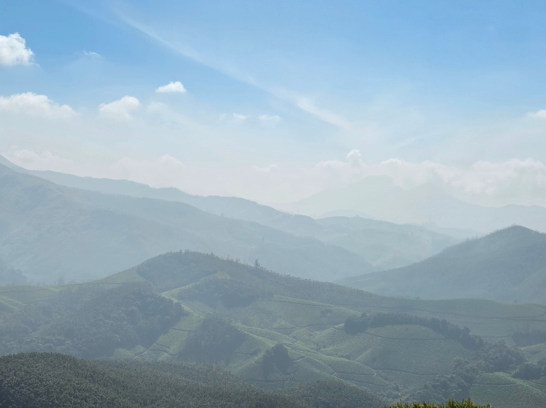Kochi Taxi-柯钦必去景点