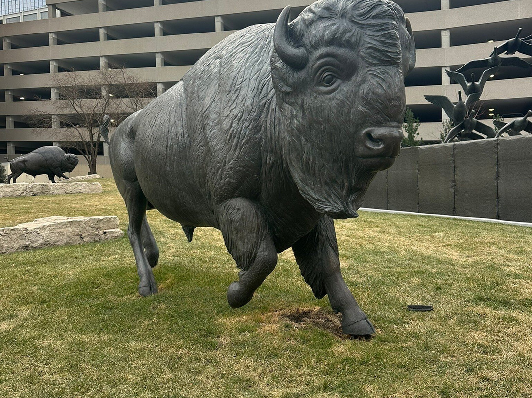 奥马哈英迪格酒店主图