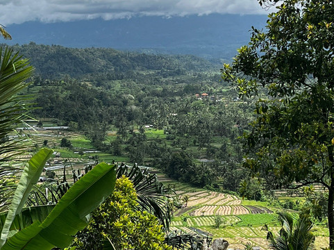 Mr. Bedu's Tours-乌布必去景点