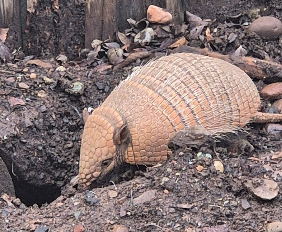 Fife Zoo-库珀必去景点