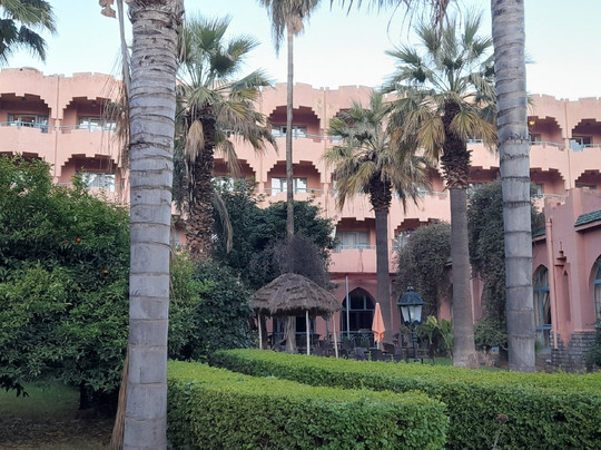 Chems Le Tazarkount主图