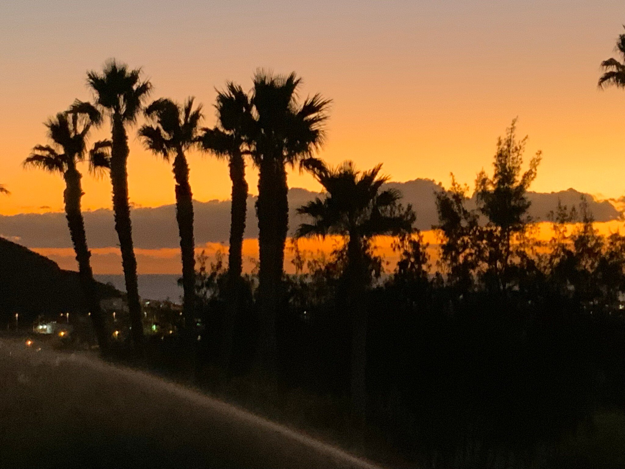 大绿洲度假酒店-官方