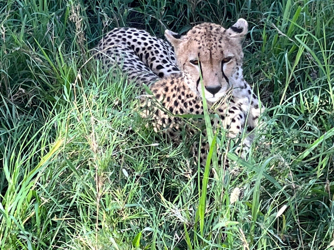 易捷旅游-一日游-阿鲁沙必去景点