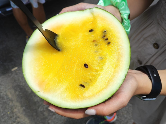 Travelife-玛琅必去景点