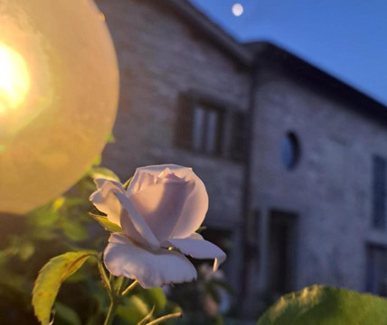 Agriturismo Il Raggio di sole di Orpello