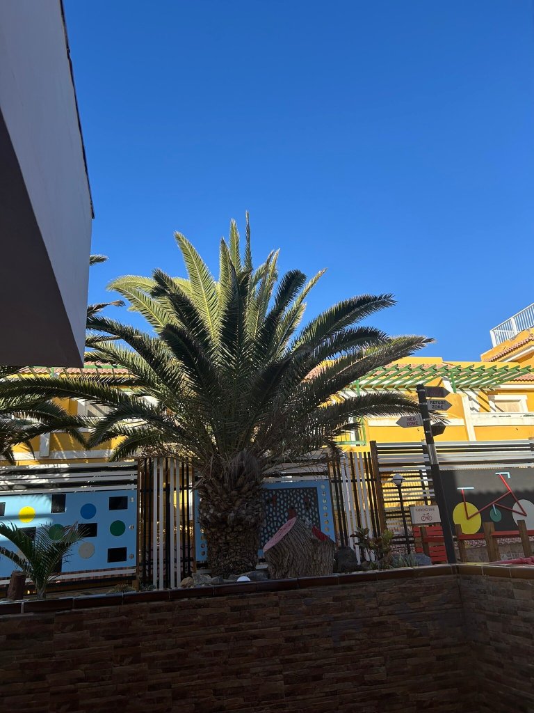 Villa Florida-官方