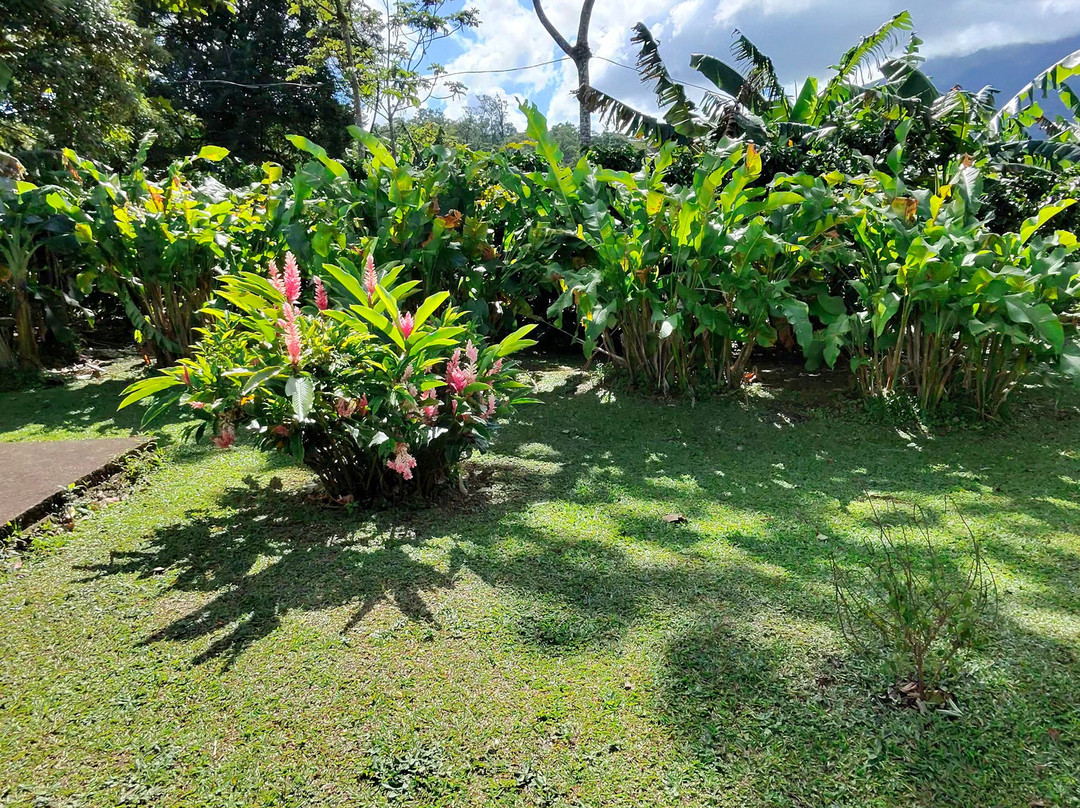 Funny Tours Costa Rica-利比里亚必去景点