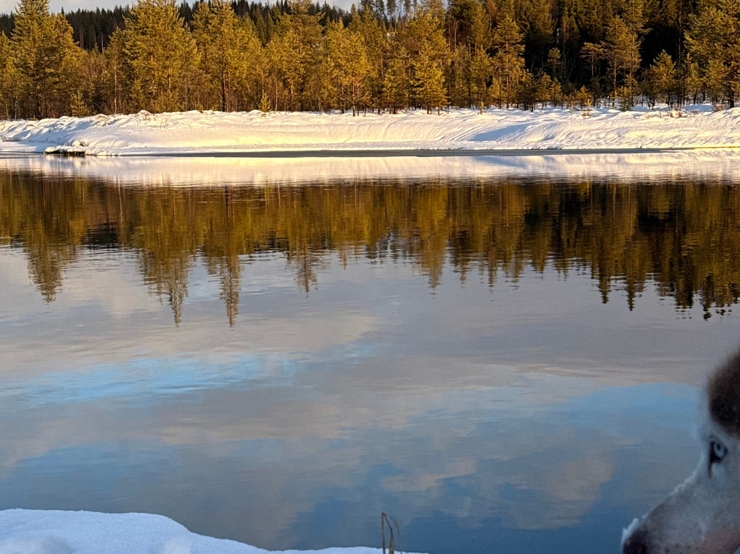 Openlappland-Amsele必去景点