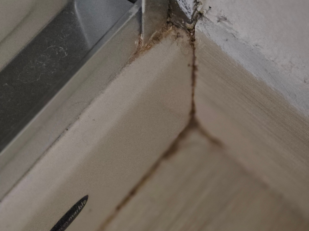 Hyatt House Morristown主图