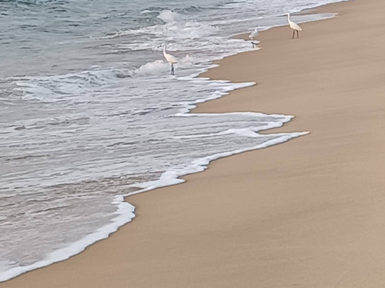 Xandari Pearl Beach Resort主图