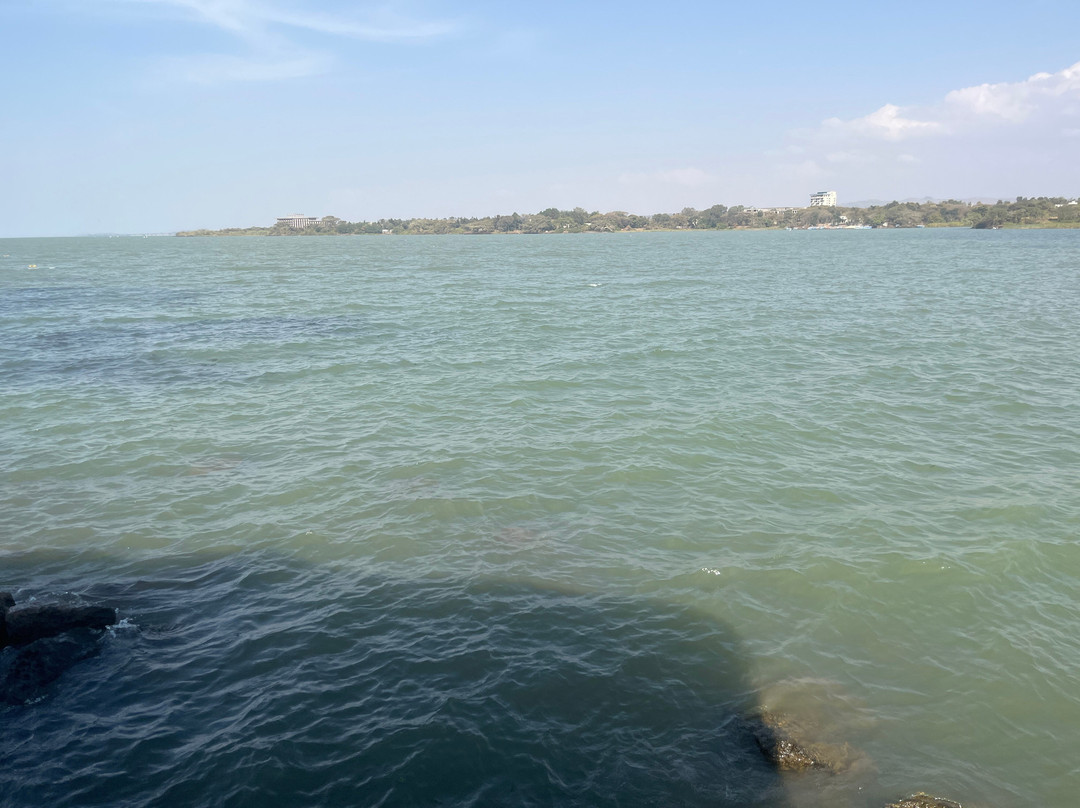 Ethio Nile Tours-巴哈尔达尔必去景点