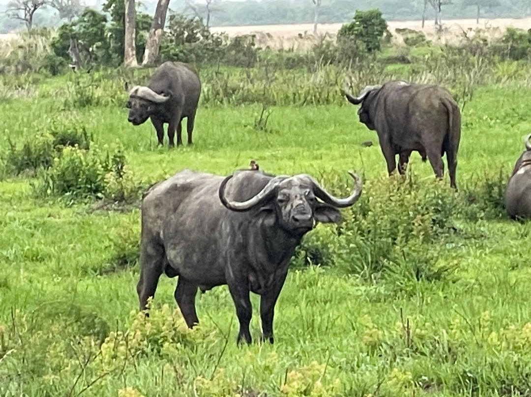 Passionate Safaris-Dar es Salaam必去景点
