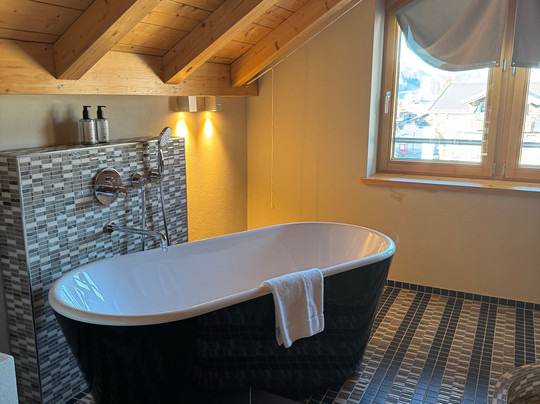 Das Freiberg Romantik Hotel主图