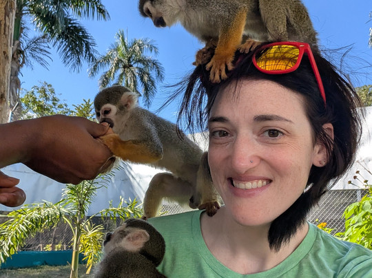 Monkey Home Puerto Plata-普拉塔港必去景点