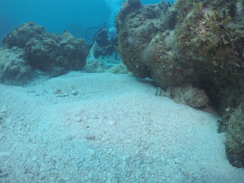 UnderwaterCuba-巴拉德罗必去景点