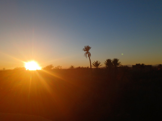 Skoura Oasis Tour Guide-Skoura必去景点