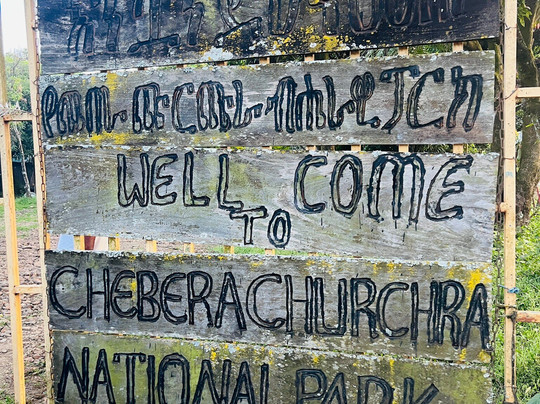 Chebera Churchura National Park-Jimma必去景点