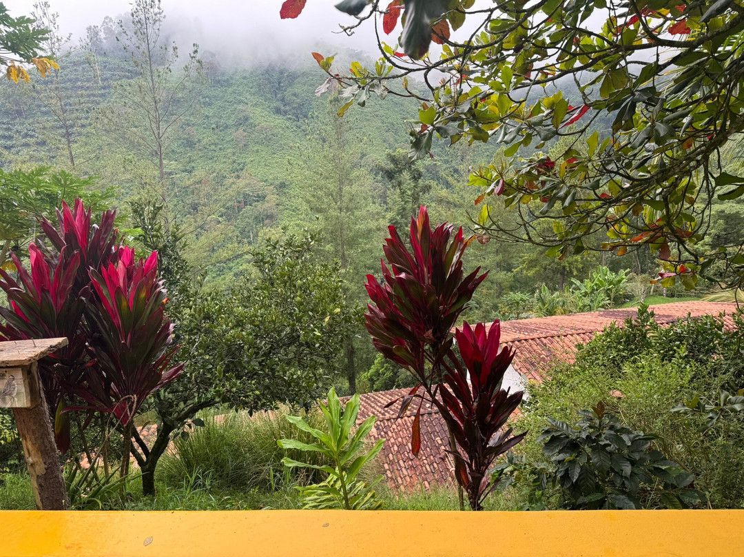 El Diamante精品农场主图