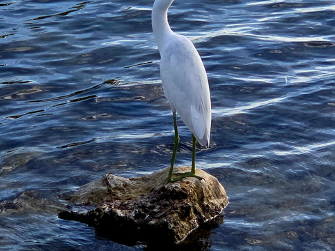 Brasher Park-里奇港必去景点