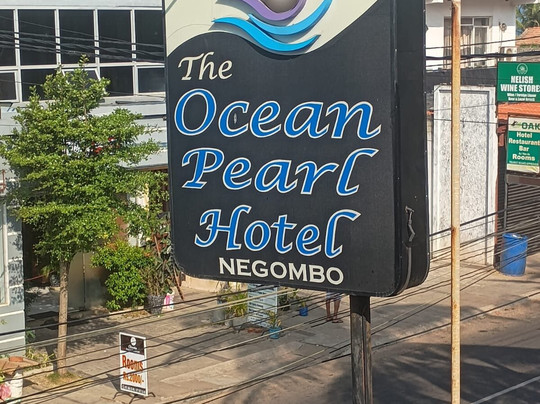 The Ocean Pearl Hotel主图