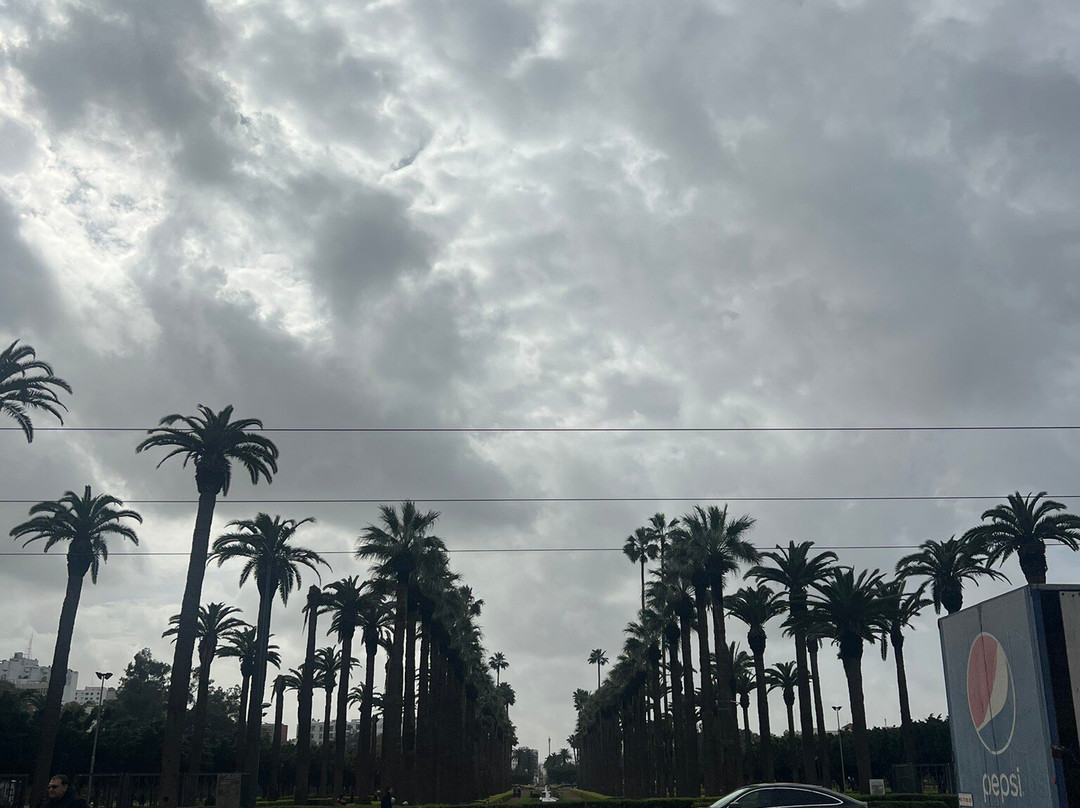 Parc de la Ligue Arabe-卡萨布兰卡必去景点