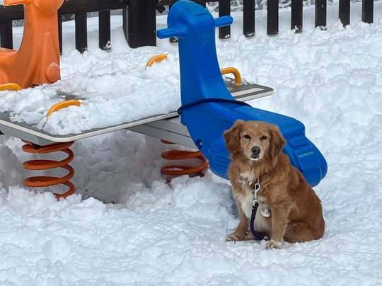 Hotel Togo Palace主图