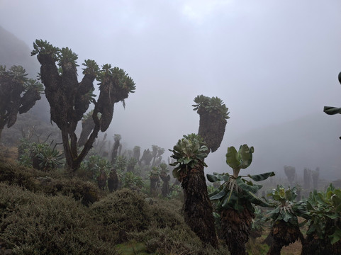 YETI TOUR-叶卡捷琳堡必去景点