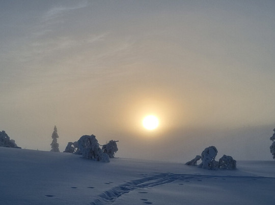 Venabu Fjellhotell og Hytter主图