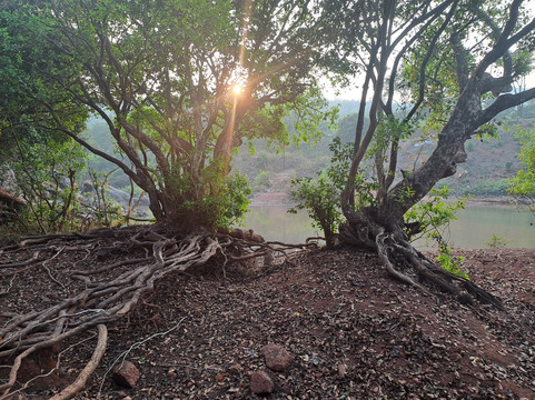 Serene Ravine Homestay主图