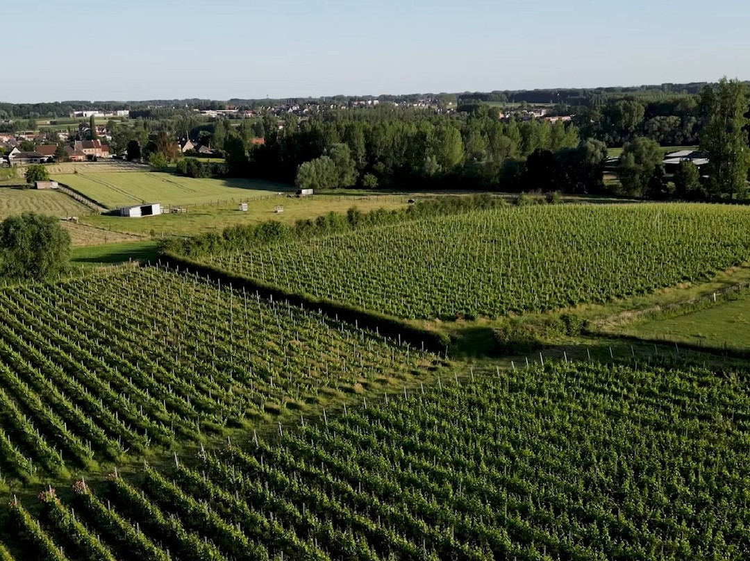 Wijndomein Pres De Gand-Herzele必去景点