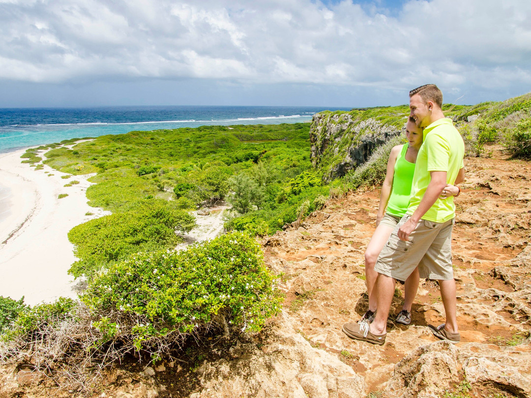 Barbuda Leisure Day Tours