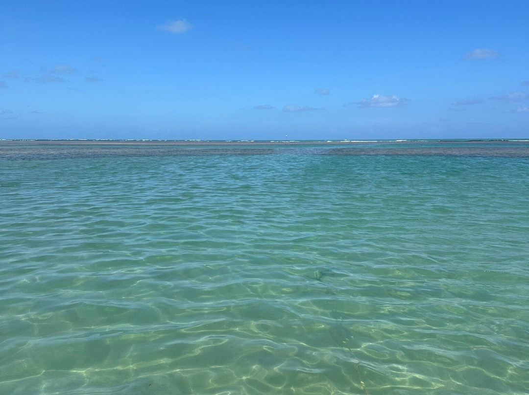 Passeios para as piscinas naturais do Patacho!-Porto de Pedras必去景点