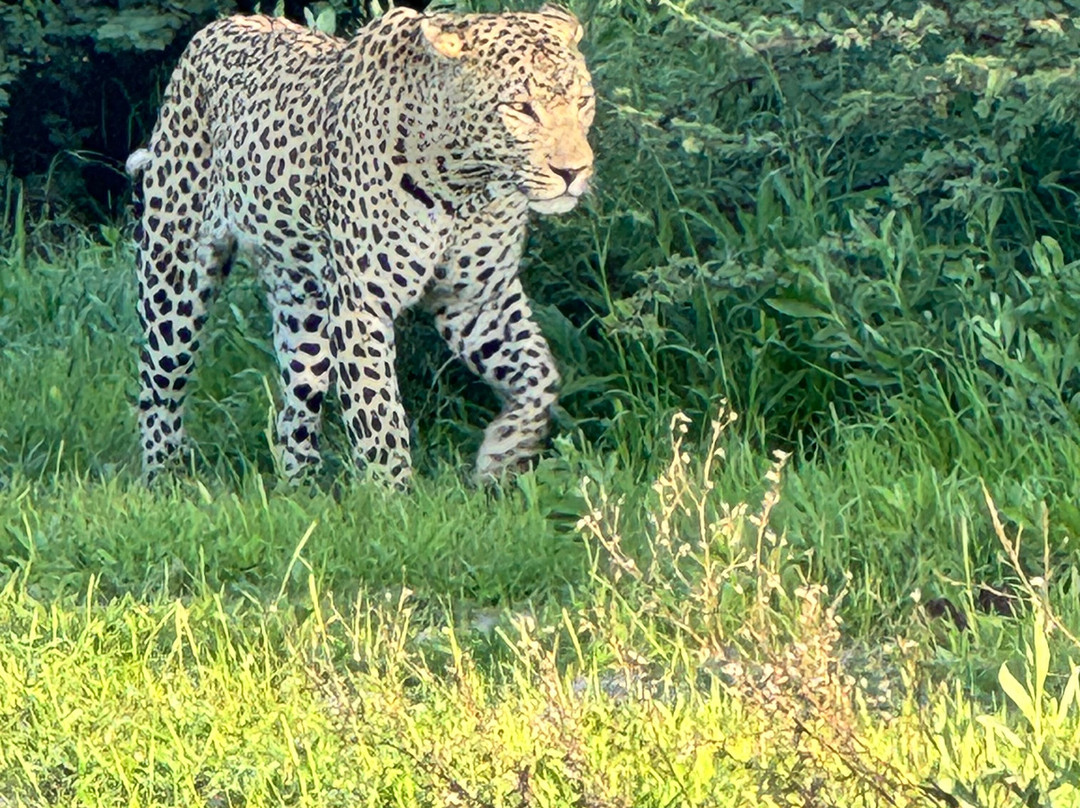 Chase Africa Safaris-鲁德普特必去景点